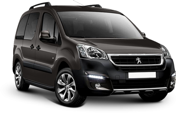 Peugeot Partner Tepee в цвете brown