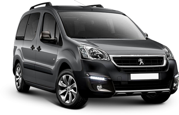 Peugeot Partner Tepee в цвете gray